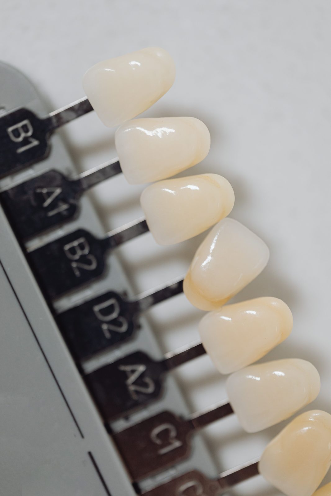 Escala de cores dental VITA com tons B1, A1, B2, D2, A2 e C1